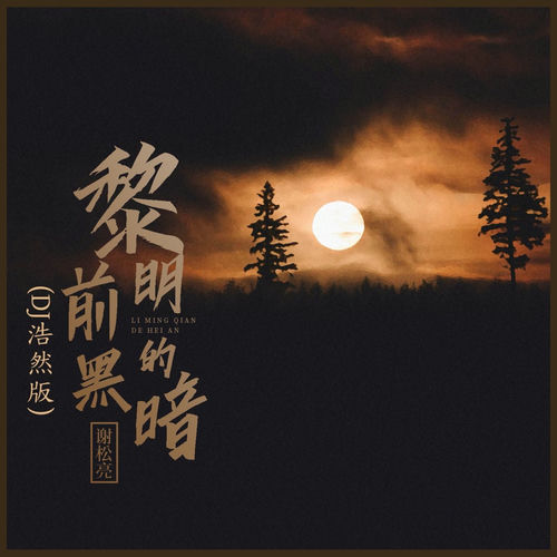 黎明前的黑暗 (Dj浩然版)