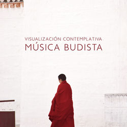 Cover of Visualización Contemplativa by undefined