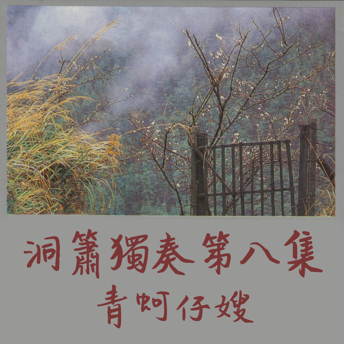 Album cover of 白牡丹