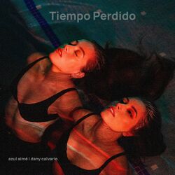 Cover of Tiempo Perdido