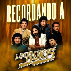 Cover of Recordando A