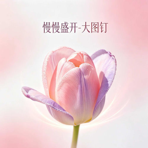 慢慢盛开