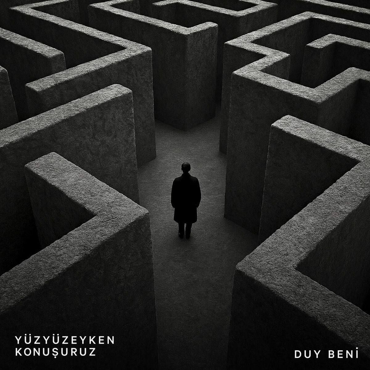 Album cover of Duy Beni