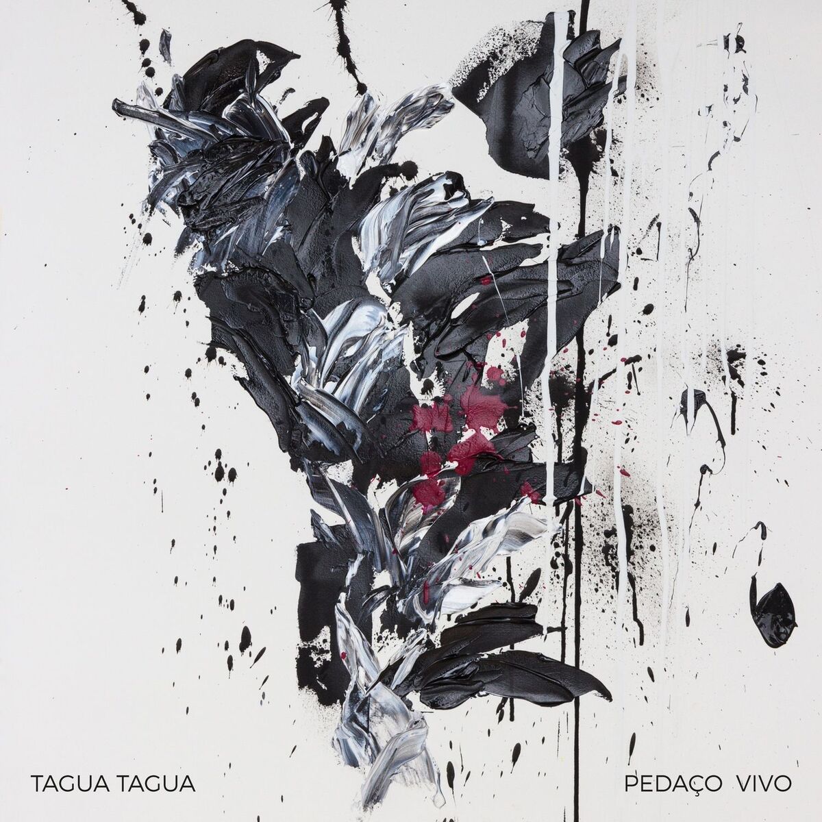 Album cover of Pedaço Vivo