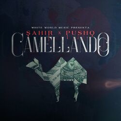 Cover of Camellando