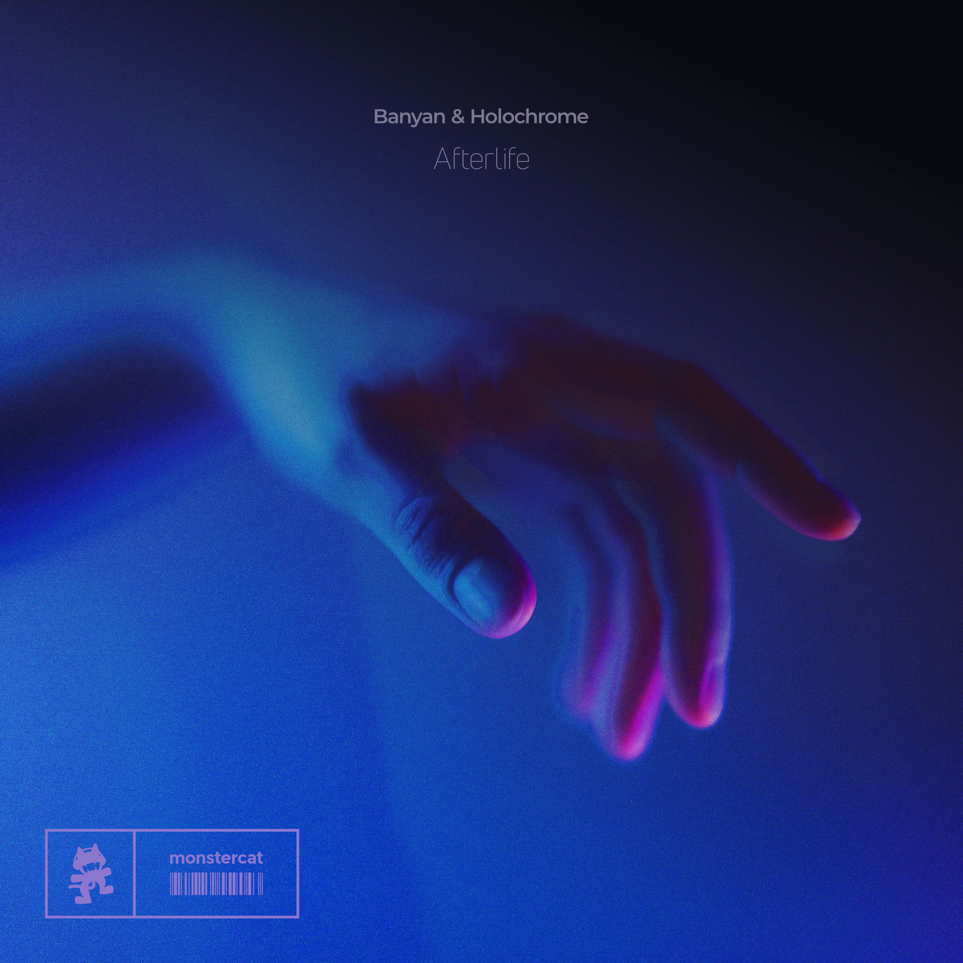 Album cover of Afterlife