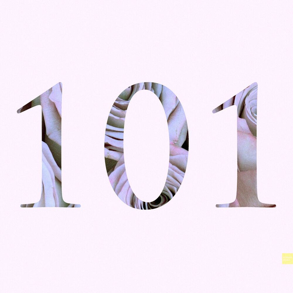 Picture of 101