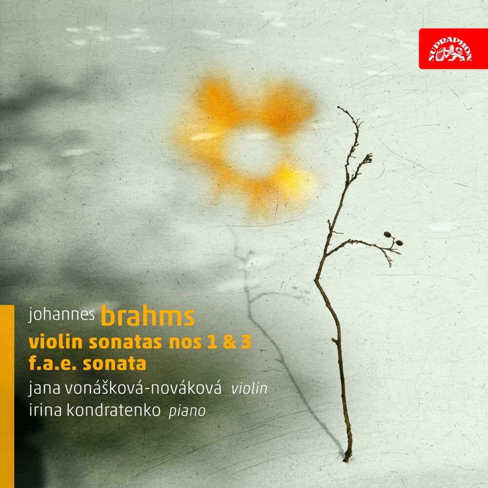 Picture of Brahms: Violin Sonatas
