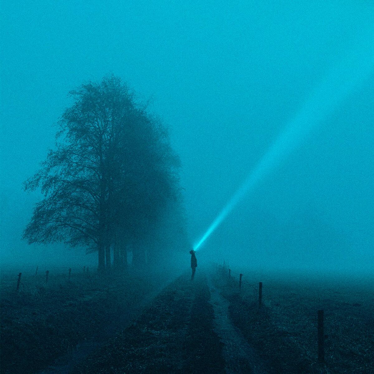 Album cover of insomnia