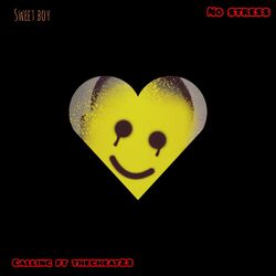 Cover of Calling/no stress