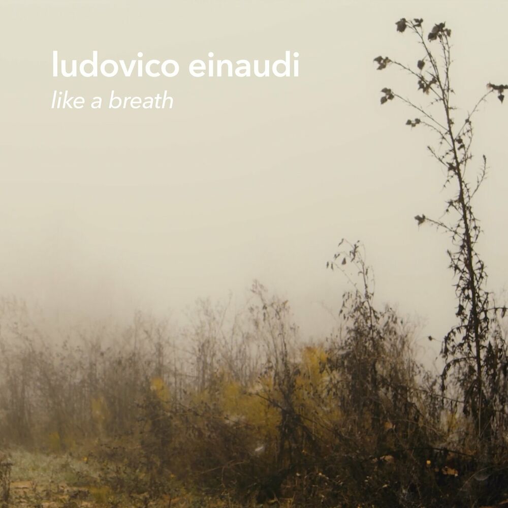 Picture of Like A Breath