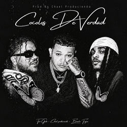 Pochette album