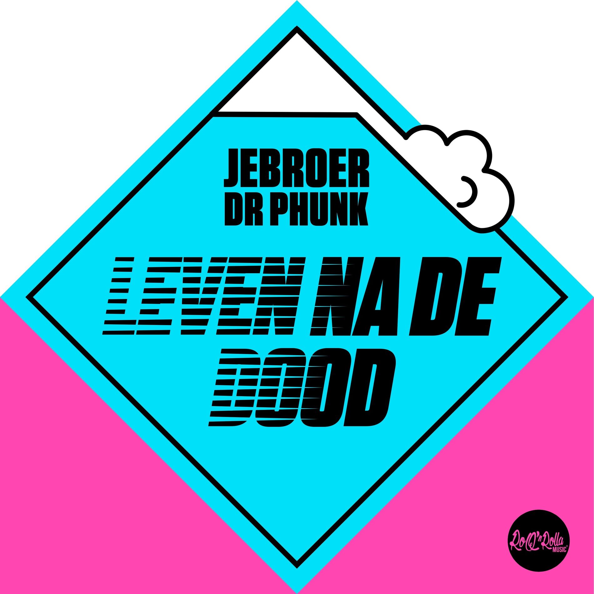 Album cover of Leven Na De Dood