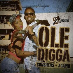 Cover of Ole Digga