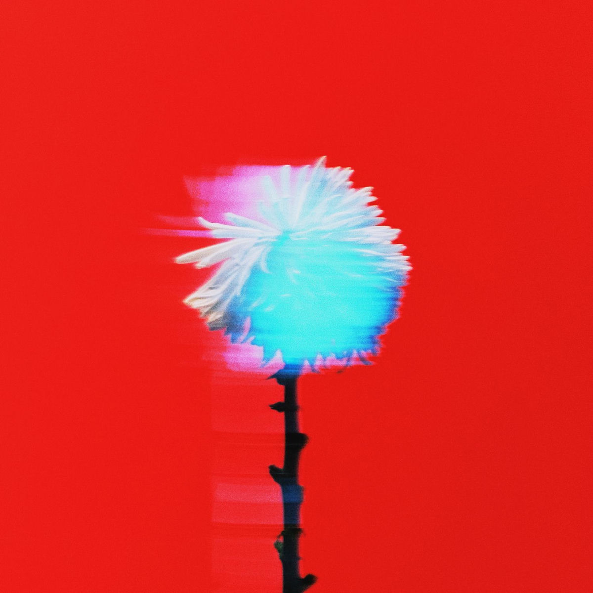 Album cover of Vivo en el pasado