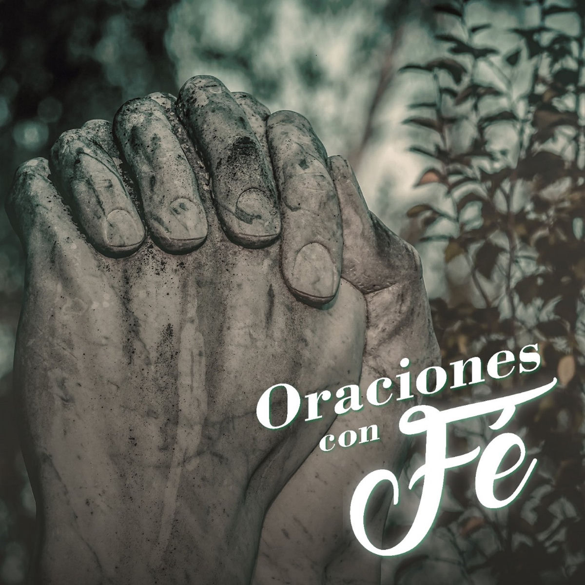 Album cover of Oraciones al Señor de los Milagro