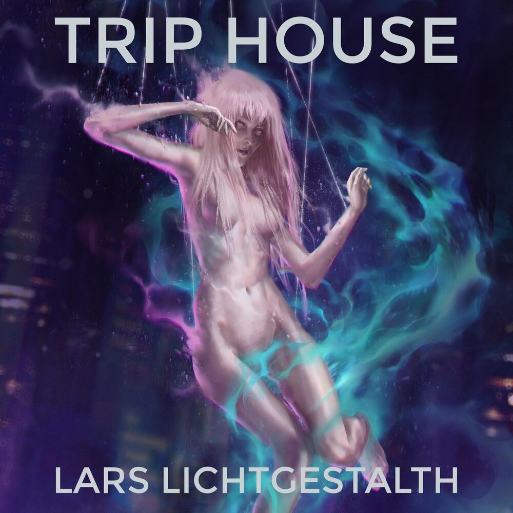 Picture of Trip House