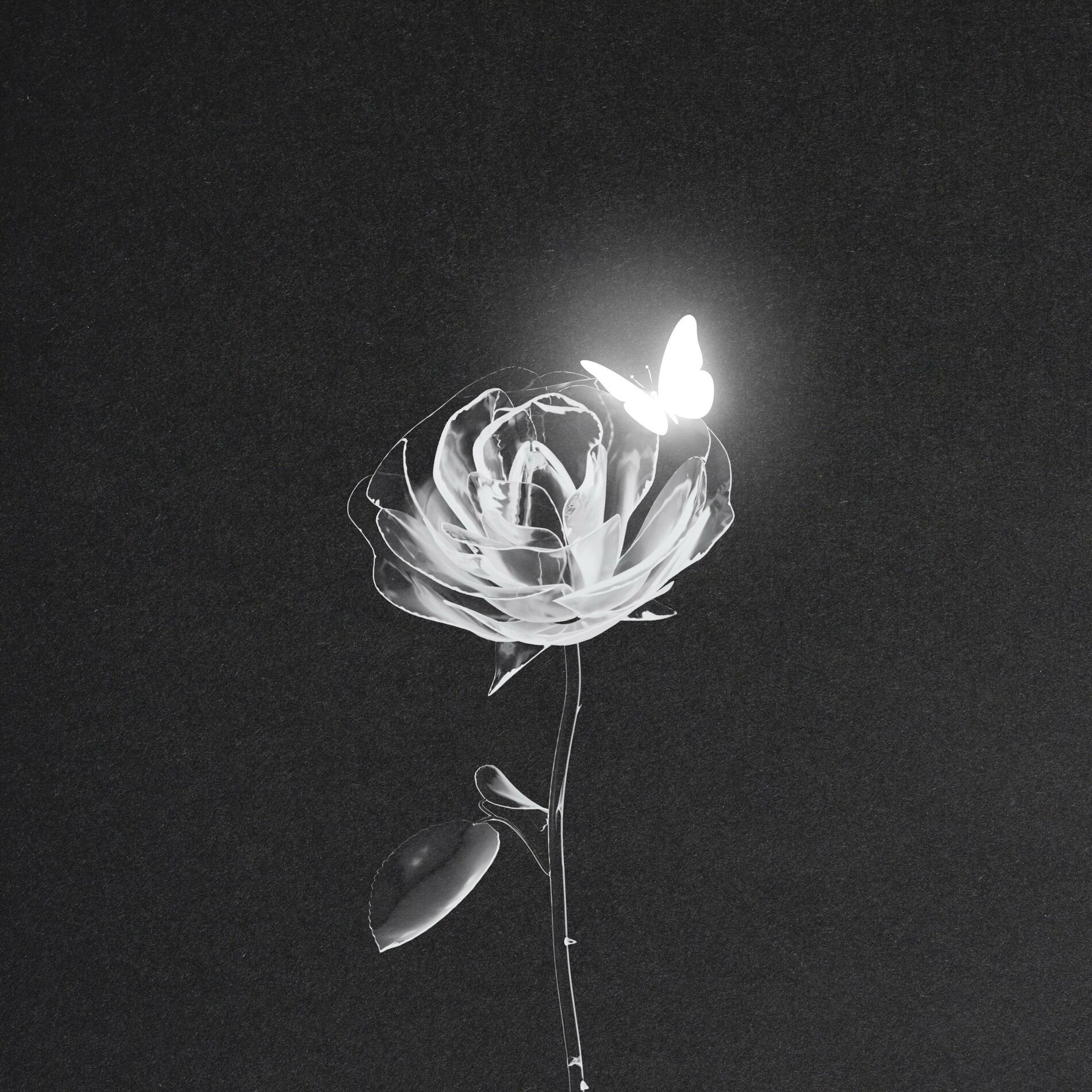 Album cover of Sad Forever