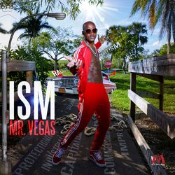 Cover of ISM