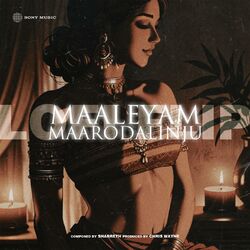 Cover of Maaleyam Maarodalinju