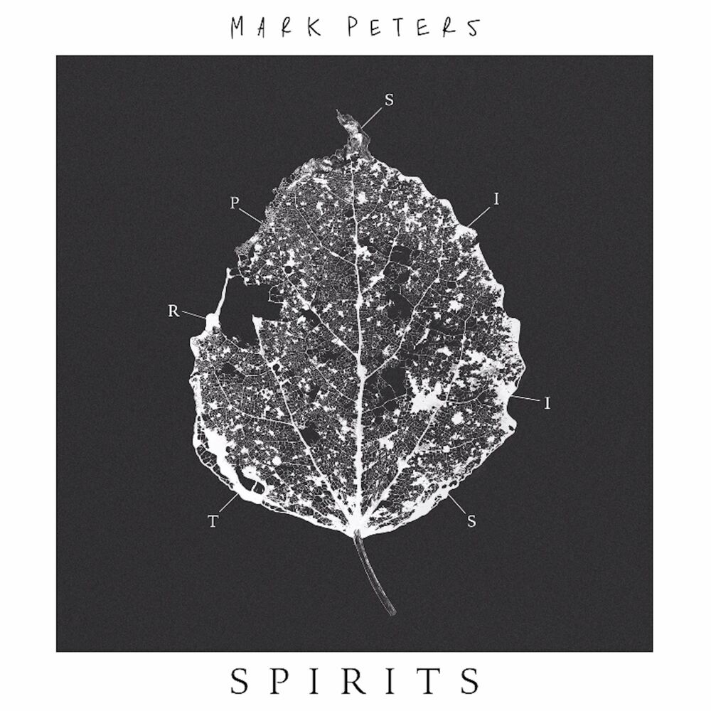 Picture of Spirits