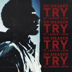Cover of Try