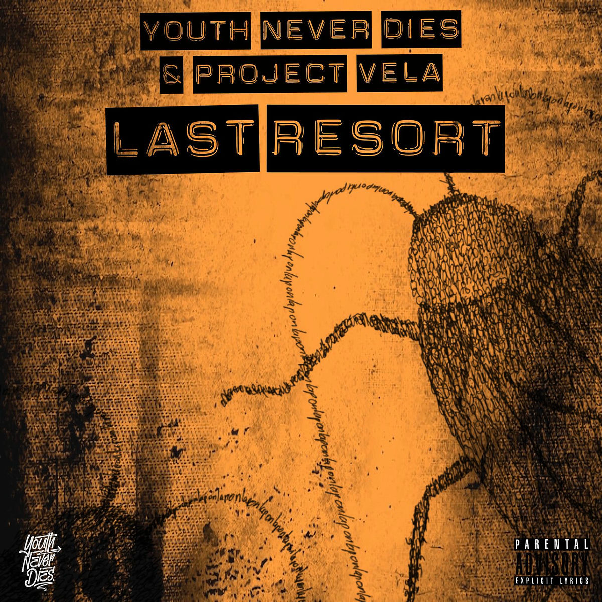 Album cover of Last Resort