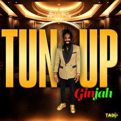 Cover of Tun Up