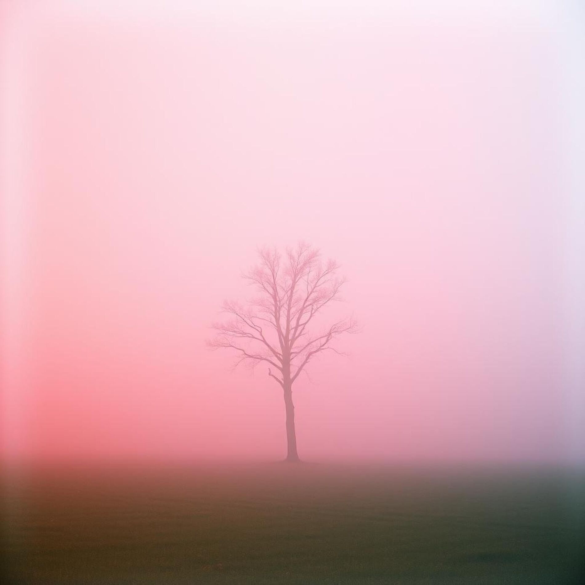 Album cover of Low Taper Fade