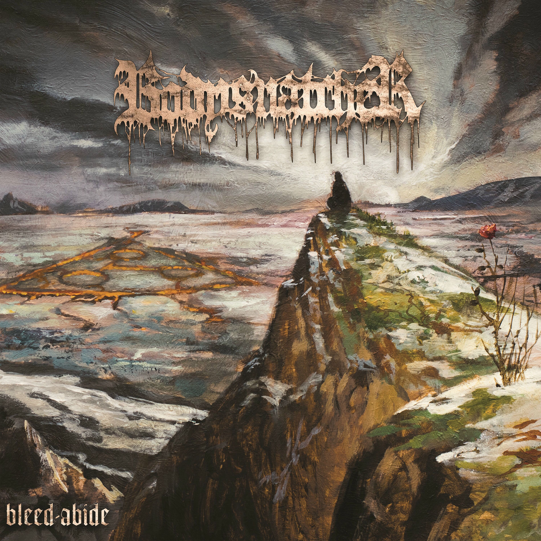 Album cover of Wired For Destruction