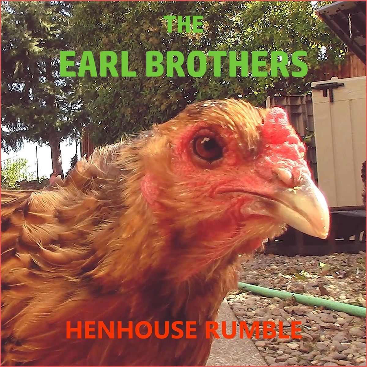 Album cover of Henhouse Rumble