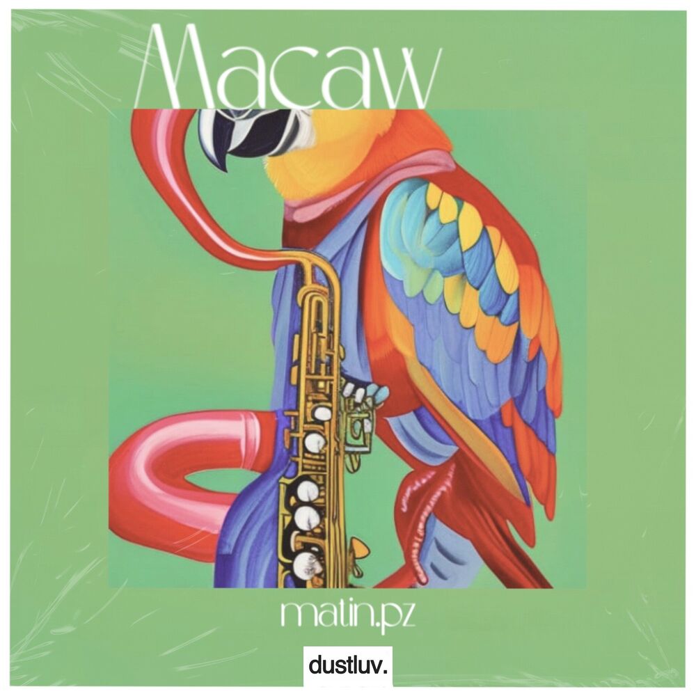 Picture of Macaw