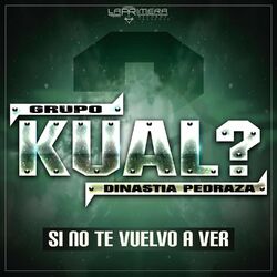 Cover of Si No Te Vuelvo a Ver