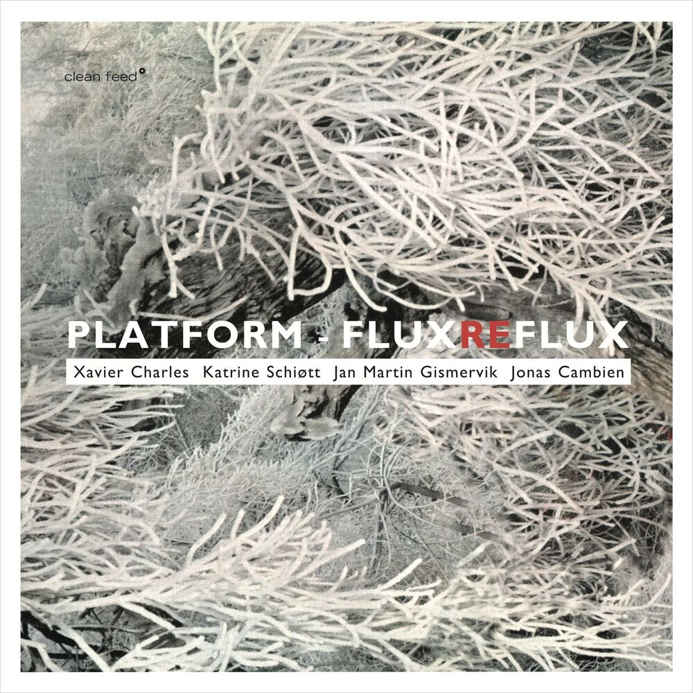 Picture of Flux Reflux