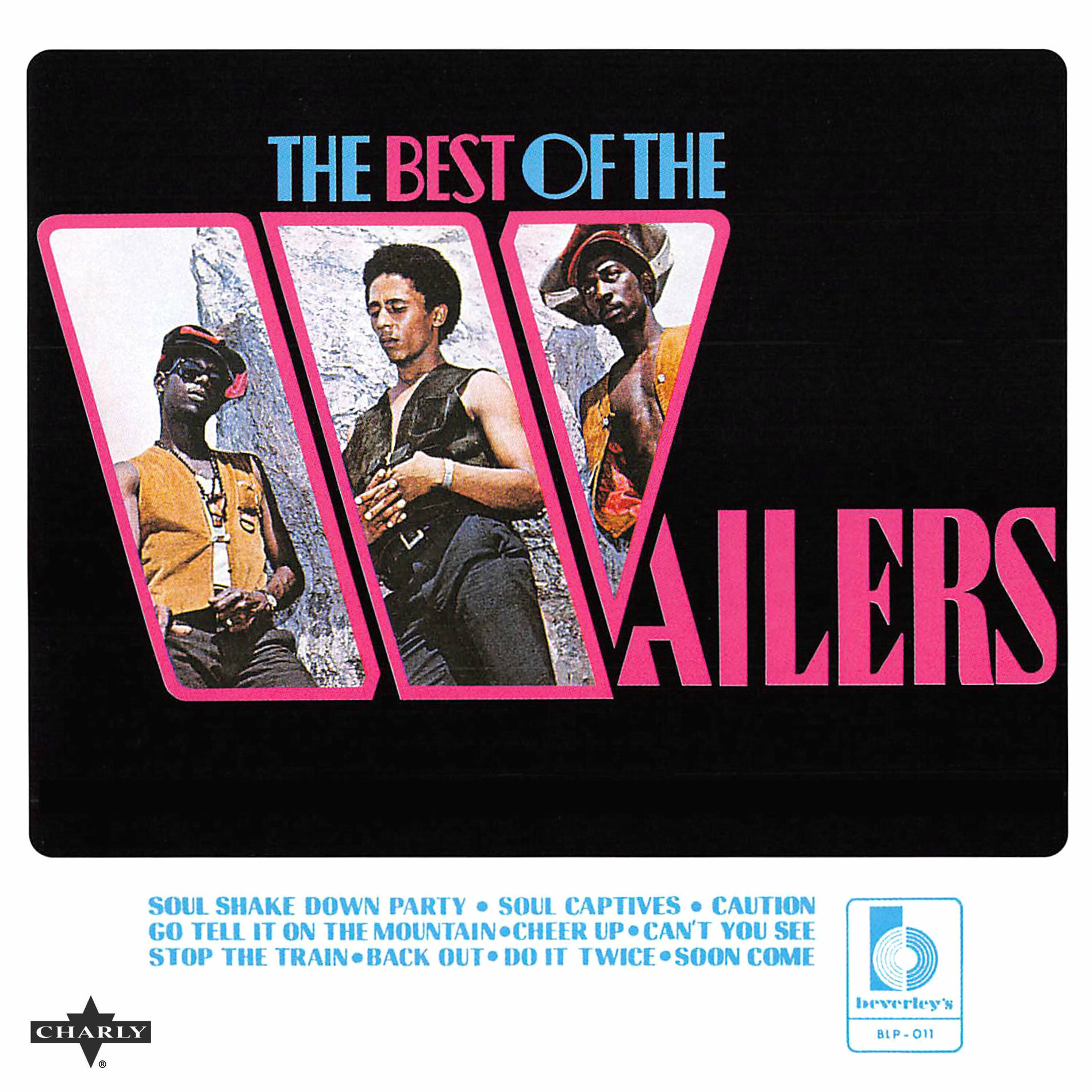 Album cover of The Best of the Wailers
