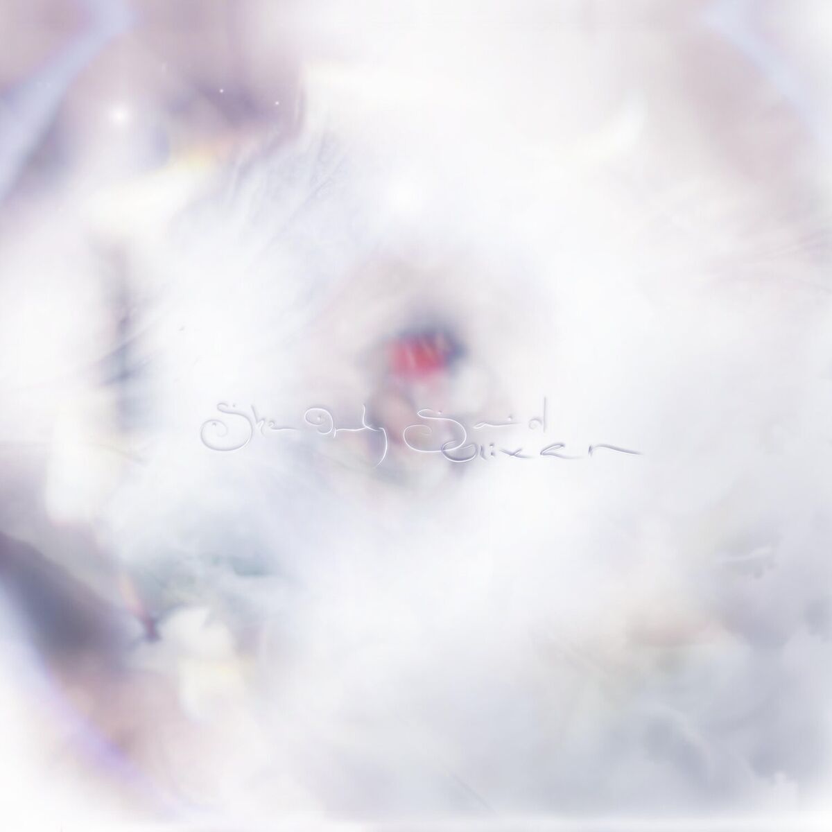 Album cover of She Only Said
