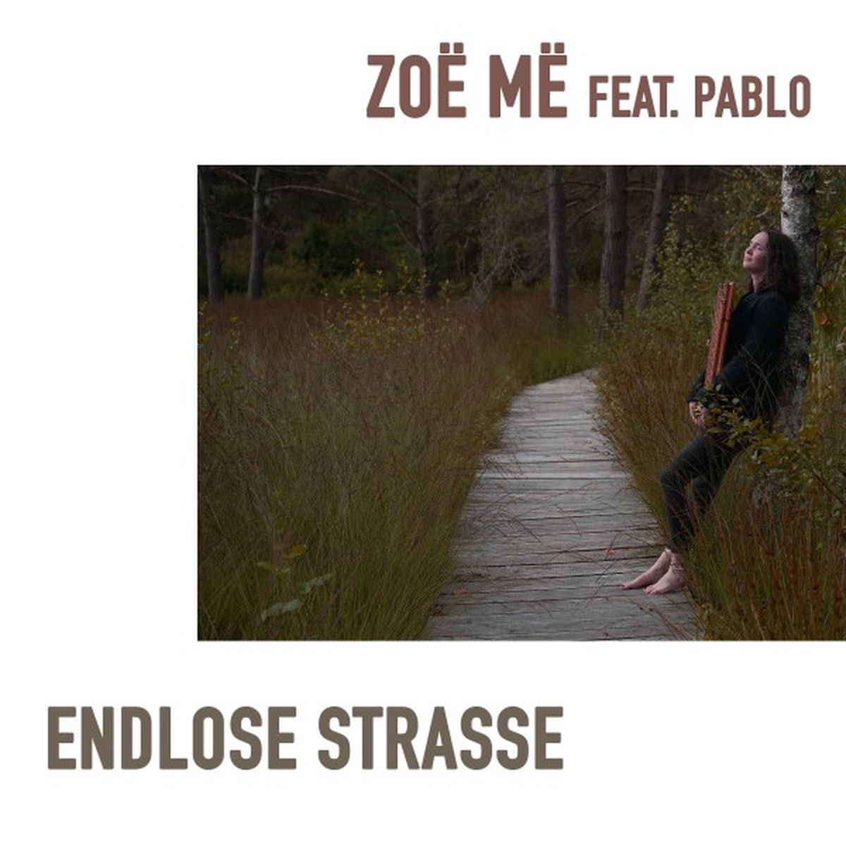 Album cover of Endlose Strasse