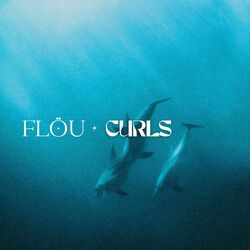Cover of Curls