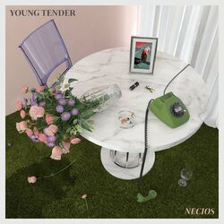 music cover