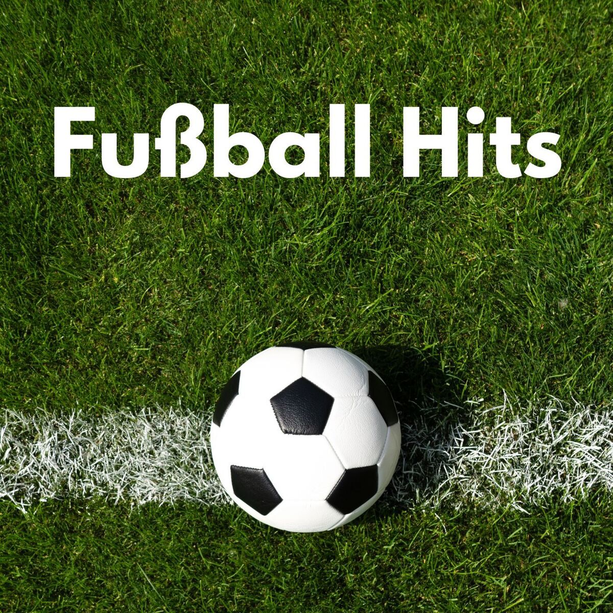 Album cover of Fußball Hits