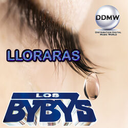 Cover of Lloraras