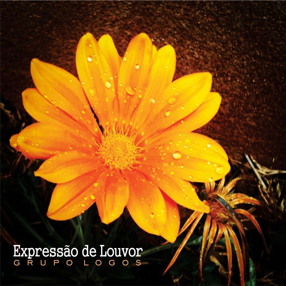 Picture of Expressão de Louvor