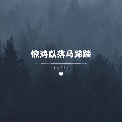惊鸿以落马蹄踏