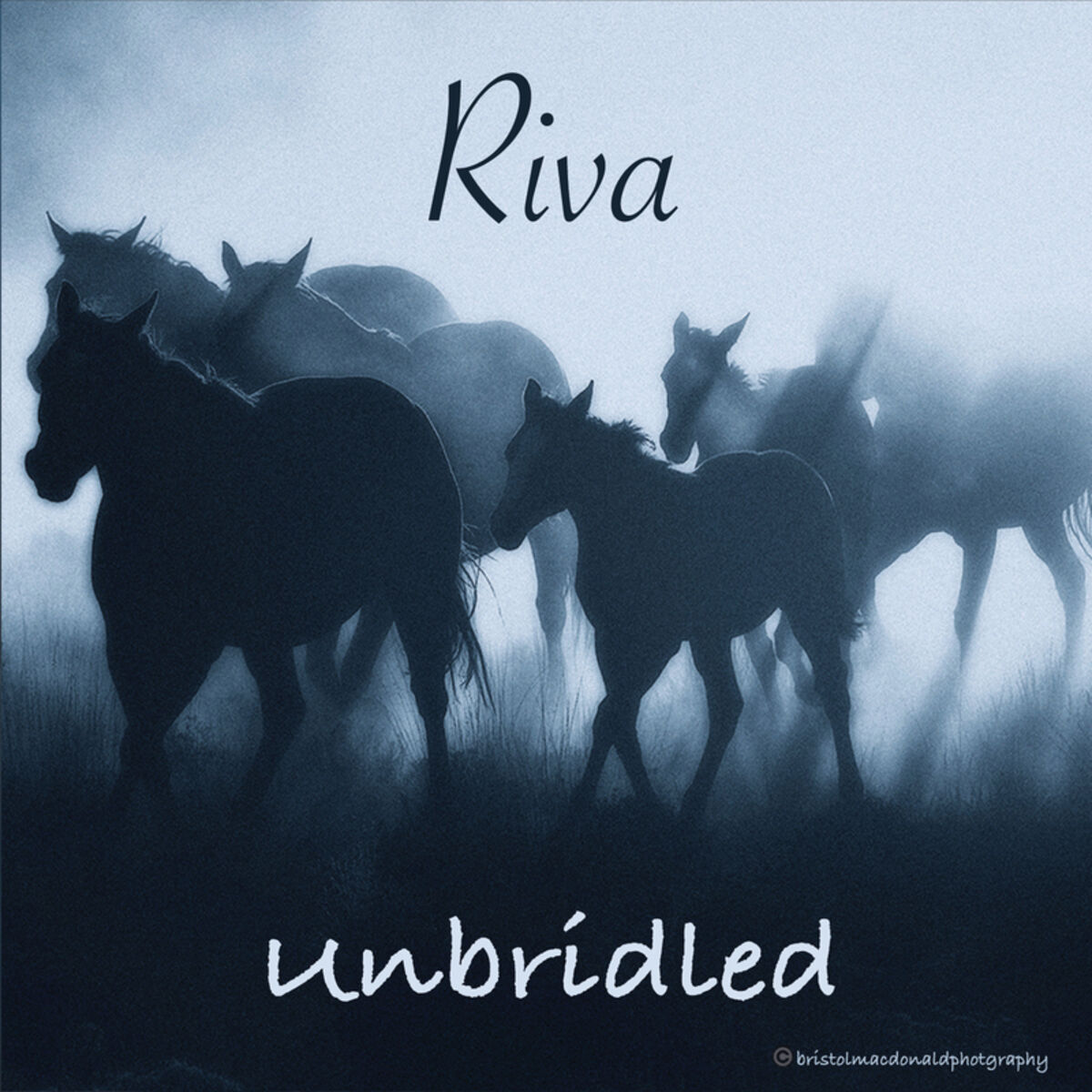 Album cover of Unbridled