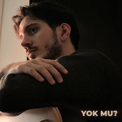 Cover of Yok Mu ?