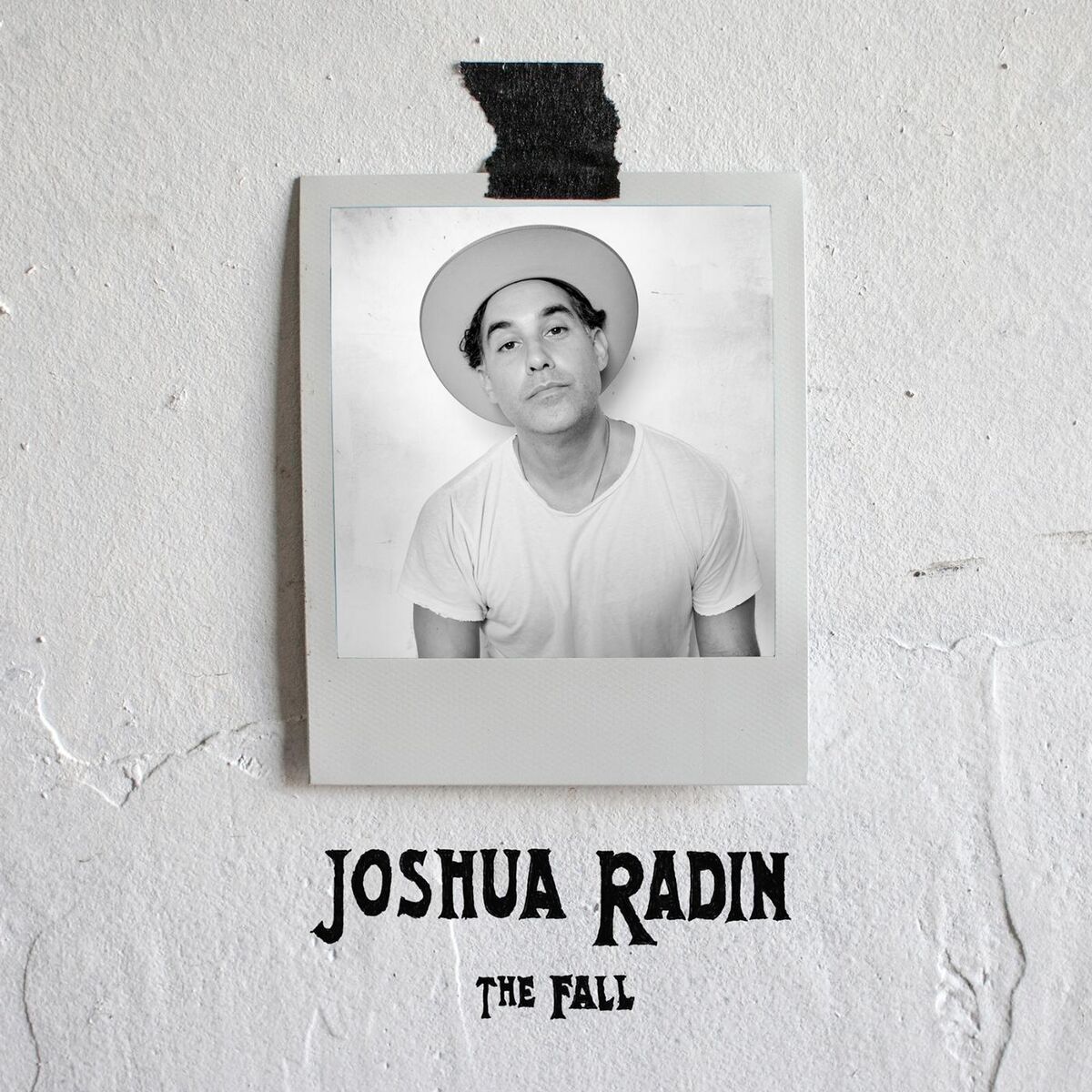 Album cover of The Fall