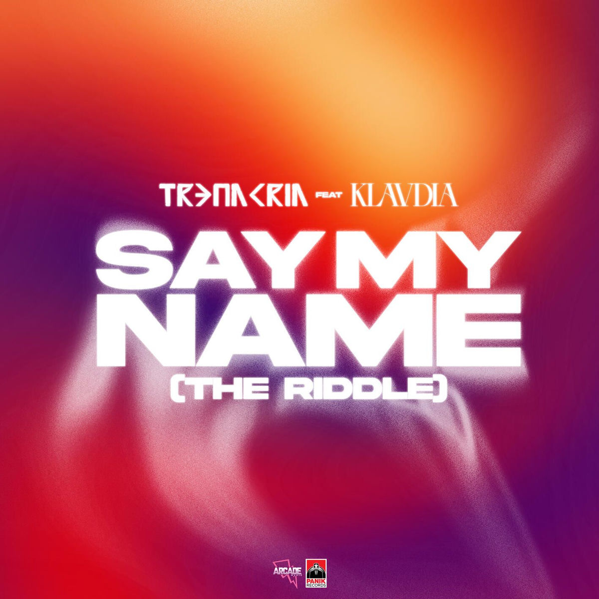 Album cover of Say My Name (The Riddle)