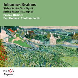 Cover of Johannes Brahms: String Sextets Nos. 1 & 2