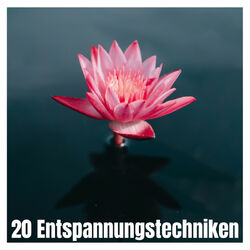 Cover of 20 Entspannungstechniken - Musik zur Verringerung körperlicher und geistiger Anspannung