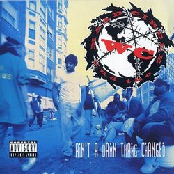 Cover of Ain't A Damn Thang Changed